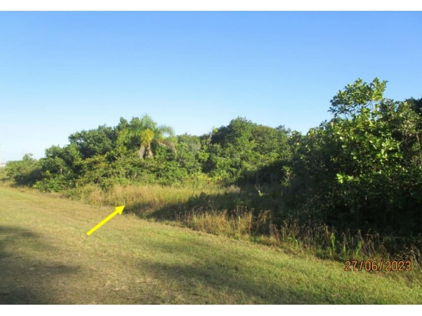Foto 2 de 7: Terreno em leilão em Ilha Comprida - SP — Terreno à venda em leilão