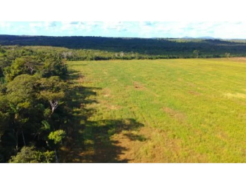 Foto 4 de 8: Area Rural em leilão em Conceição Do Araguaia - PA — Área Rural à venda em leilão