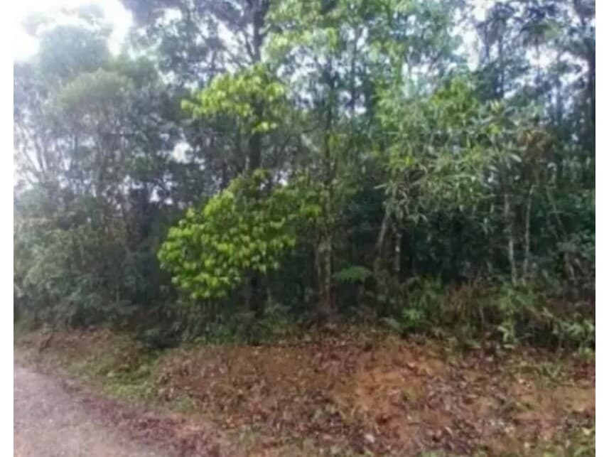 Foto 5 de 7: Terreno em leilão em São Bernardo Do Campo - SP — Terreno à venda em leilão