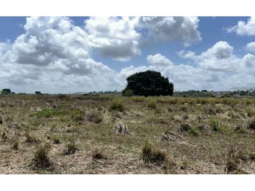 Foto 14 de 16: Terreno em leilão em Monte Alegre - RN — Terreno à venda em leilão