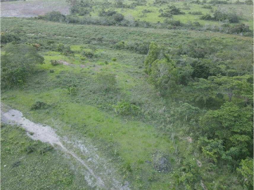 Foto 6 de 8: Terreno em leilão em Campos Dos Goytacazes - RJ — Terrenos à venda