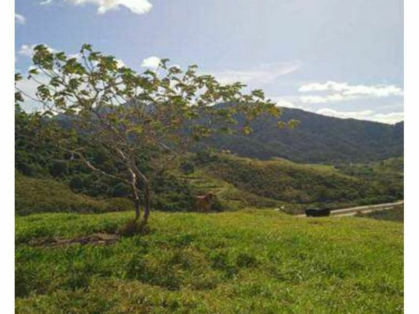 Foto 12 de 30: Area Rural em leilão em Casimiro De Abreu - RJ — Área Rural à venda