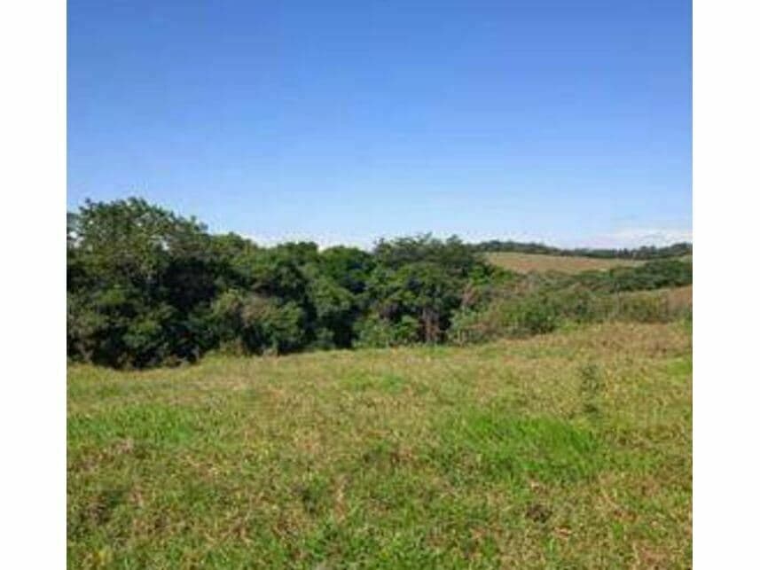 Foto 28 de 30: Area Rural em leilão em Casimiro De Abreu - RJ — Área Rural à venda
