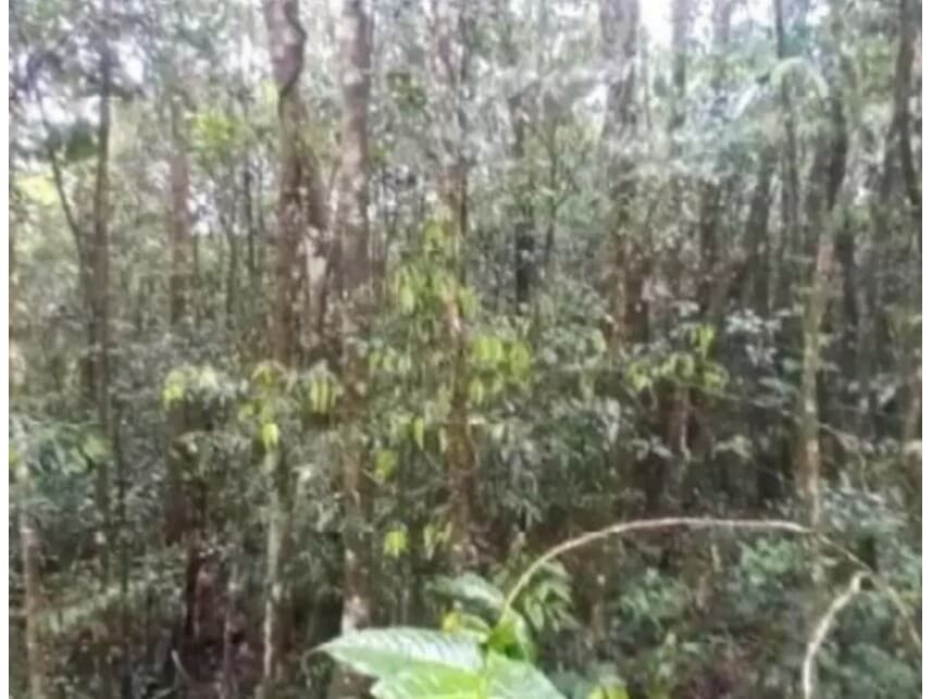 Foto 2 de 7: Terreno em leilão em São Bernardo Do Campo - SP — Terreno à venda em leilão