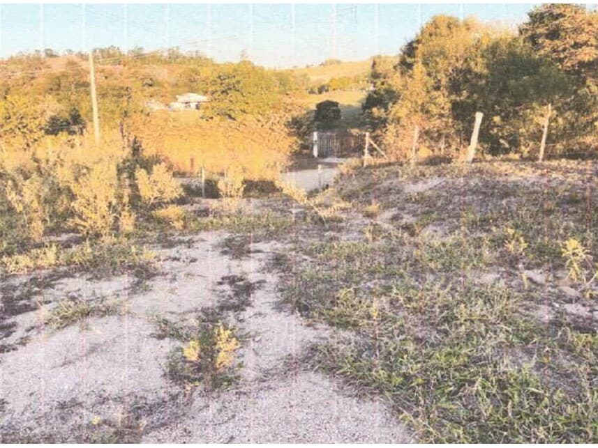 Foto 2 de 17: Area Rural em leilão em Sorocaba - SP — Área Rural à venda em leilão