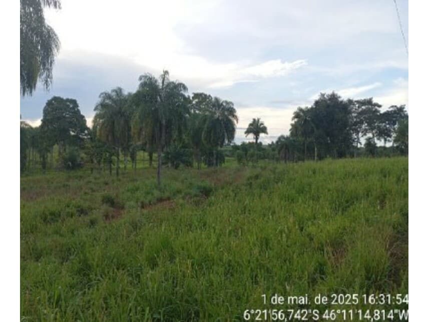 Foto 3 de 3: Area Rural em leilão em Formosa Da Serra Negra - MA — Área Rural à venda em leilão