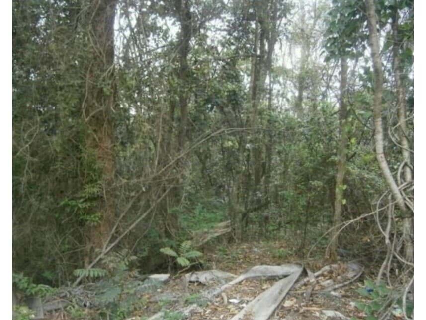 Foto 3 de 11: Terreno em leilão em Santana De Parnaíba - SP — Terreno à venda em leilão