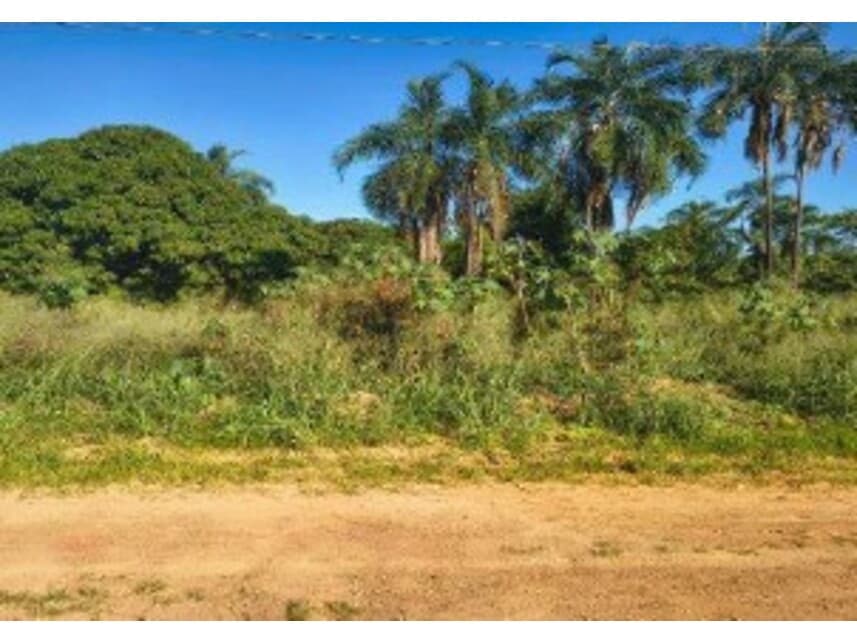 Foto 11 de 14: Terreno em leilão em Caldas Novas - GO — Terrenos à venda em leilão