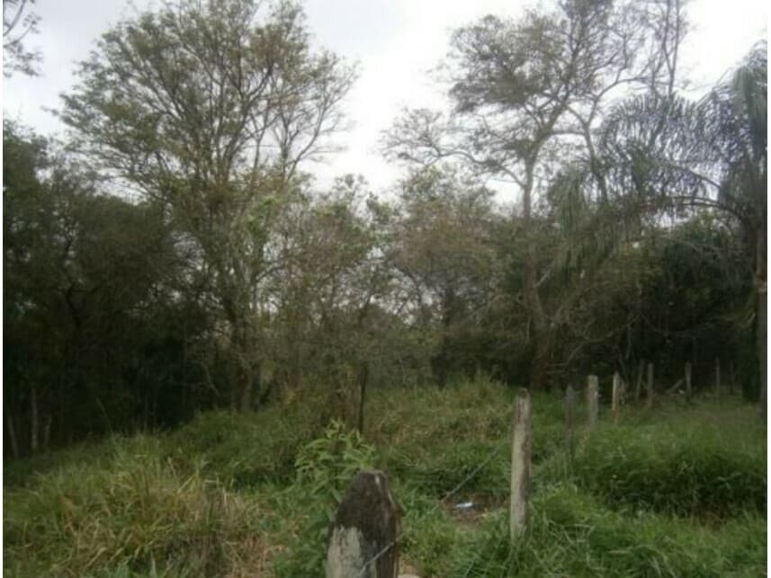 Foto 10 de 11: Terreno em leilão em Santana De Parnaíba - SP — Terreno à venda em leilão