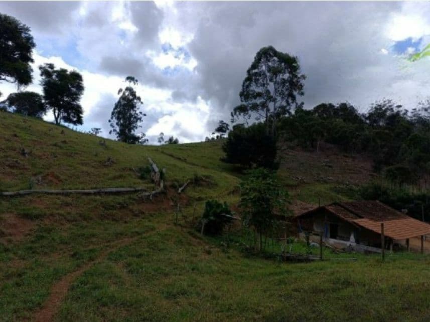 Foto 2 de 7: Area Rural em leilão em Duas Barras - RJ — Área Rural à venda em leilão