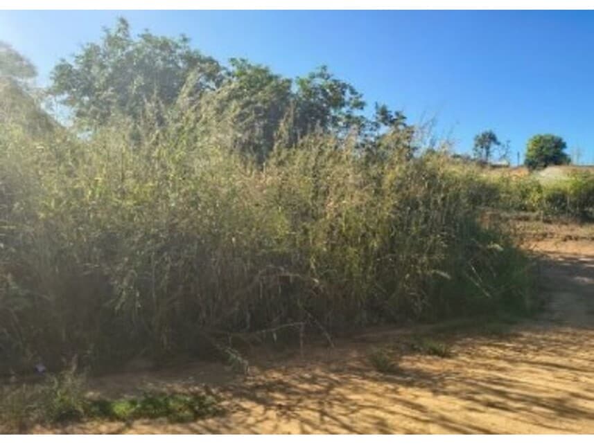 Foto 3 de 14: Terreno em leilão em Caldas Novas - GO — Terrenos à venda em leilão