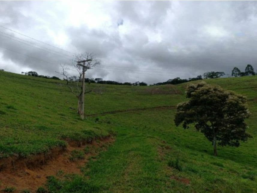 Foto 4 de 7: Area Rural em leilão em Duas Barras - RJ — Área Rural à venda em leilão