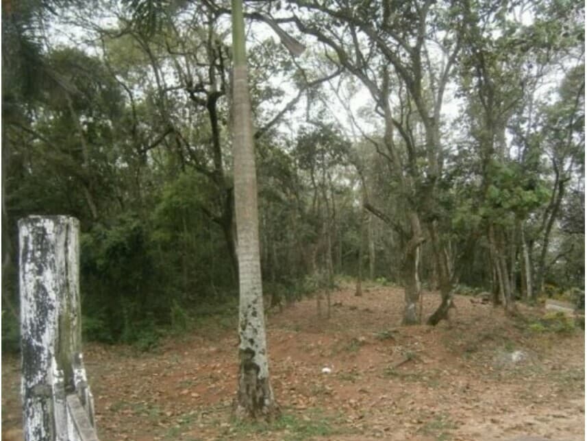 Foto 5 de 11: Terreno em leilão em Santana De Parnaíba - SP — Terreno à venda em leilão