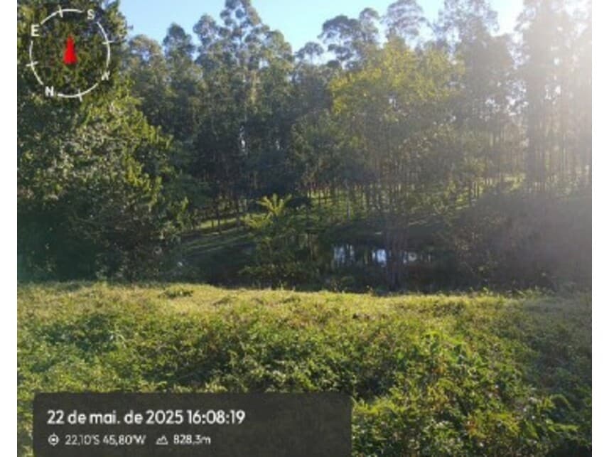 Foto 16 de 20: Imóvel em leilão em Silvianópolis - MG — Áreas Rurais à venda em leilão