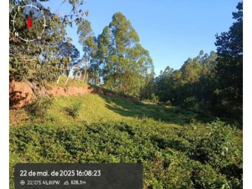 Foto 15 de 20: Imóvel em leilão em Silvianópolis - MG — Áreas Rurais à venda em leilão