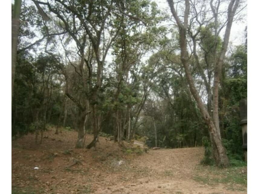 Foto 4 de 11: Terreno em leilão em Santana De Parnaíba - SP — Terreno à venda em leilão