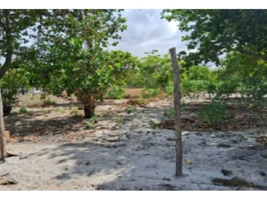 Terreno em leilão em Pacajus - CE — Terreno à venda em leilão