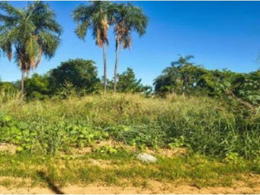 Foto 10 de 14: Terreno em leilão em Caldas Novas - GO — Terrenos à venda em leilão