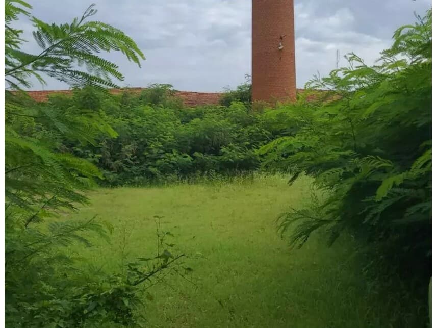 Foto 2 de 14: Comercial em leilão em Tambaú - SP — Complexo Industrial à venda em leilão