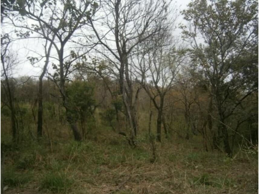 Foto 9 de 11: Terreno em leilão em Santana De Parnaíba - SP — Terreno à venda em leilão