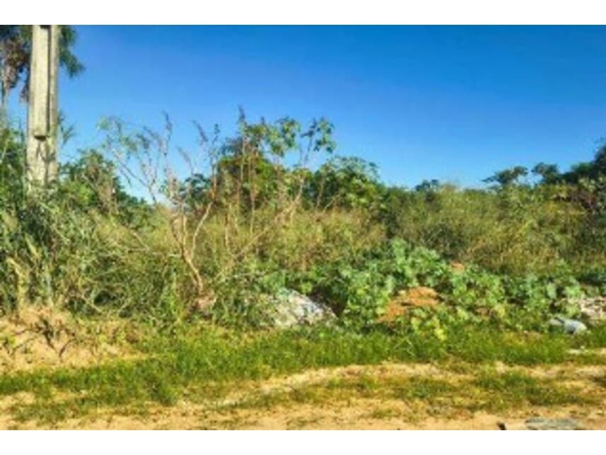 Foto 9 de 14: Terreno em leilão em Caldas Novas - GO — Terrenos à venda em leilão