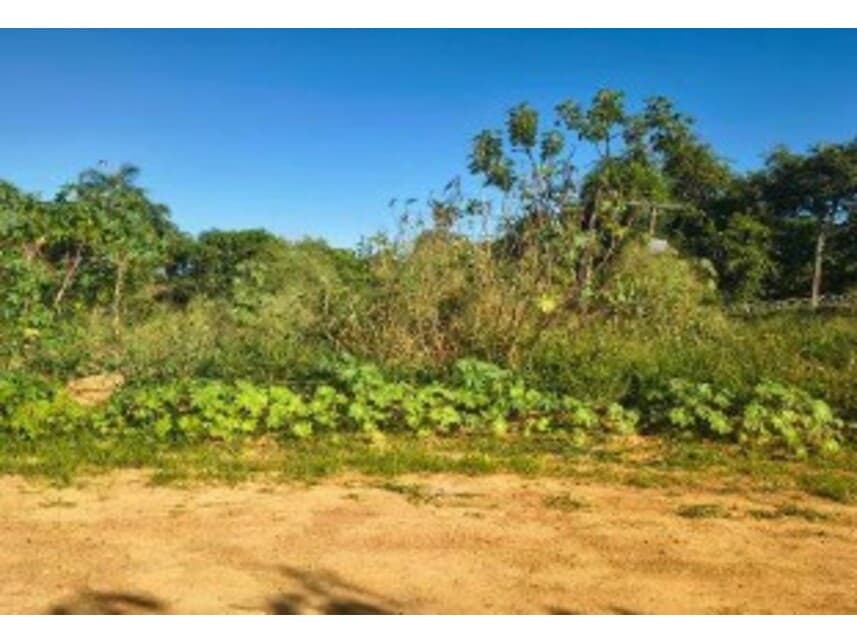 Foto 8 de 14: Terreno em leilão em Caldas Novas - GO — Terrenos à venda em leilão