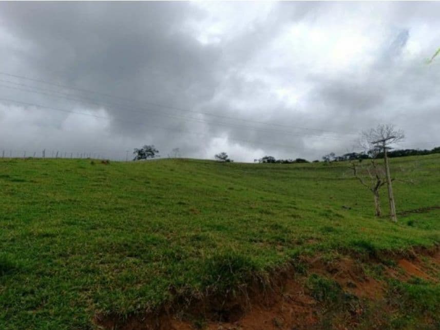 Foto 3 de 7: Area Rural em leilão em Duas Barras - RJ — Área Rural à venda em leilão