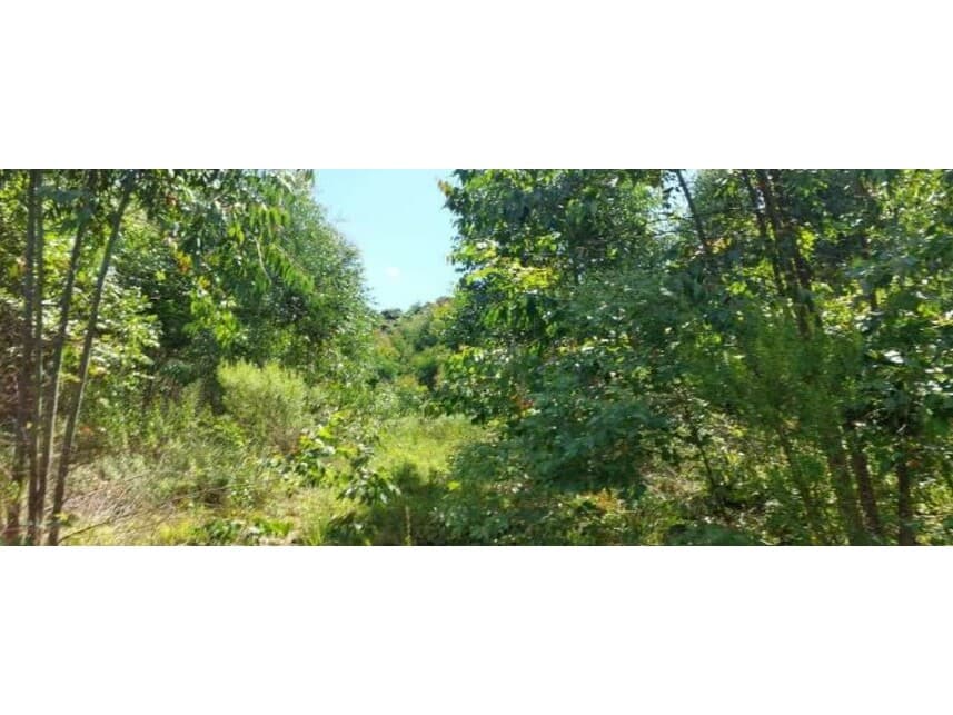 Foto 1 de 2: Area Rural em leilão em Vila Maria - RS — Área Rural à venda em leilão