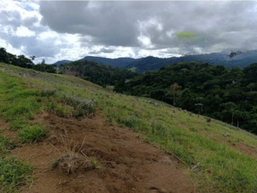 Foto 5 de 7: Area Rural em leilão em Duas Barras - RJ — Área Rural à venda em leilão