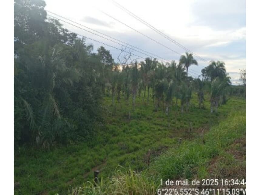 Foto 2 de 3: Area Rural em leilão em Formosa Da Serra Negra - MA — Área Rural à venda em leilão