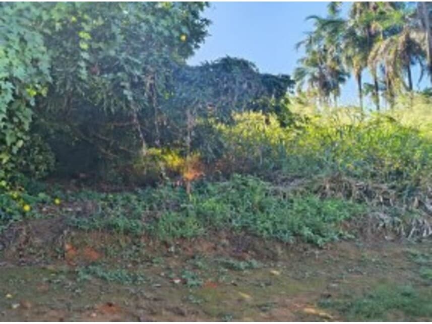 Foto 7 de 14: Terreno em leilão em Caldas Novas - GO — Terrenos à venda em leilão
