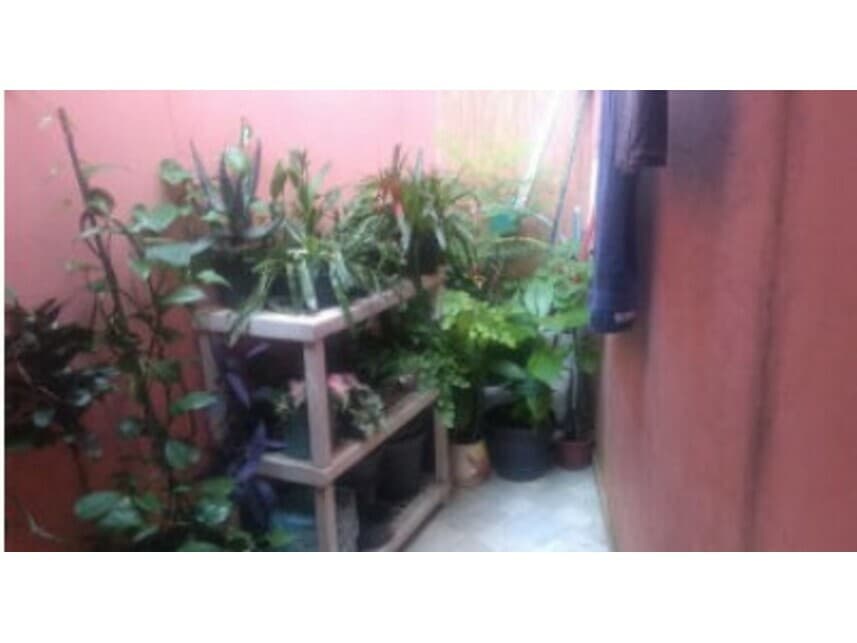 Foto 9 de 14: Casa em leilão em São Paulo - SP — Casa à venda em leilão
