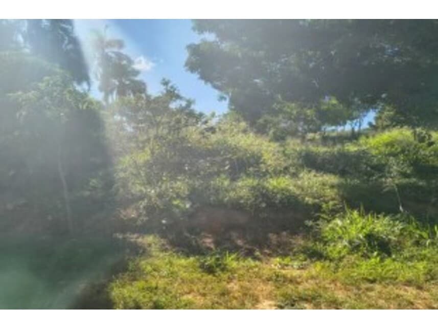 Foto 4 de 14: Terreno em leilão em Caldas Novas - GO — Terrenos à venda em leilão