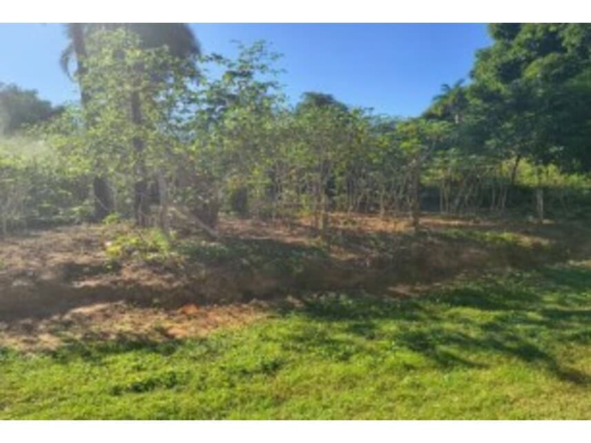 Foto 5 de 14: Terreno em leilão em Caldas Novas - GO — Terrenos à venda em leilão