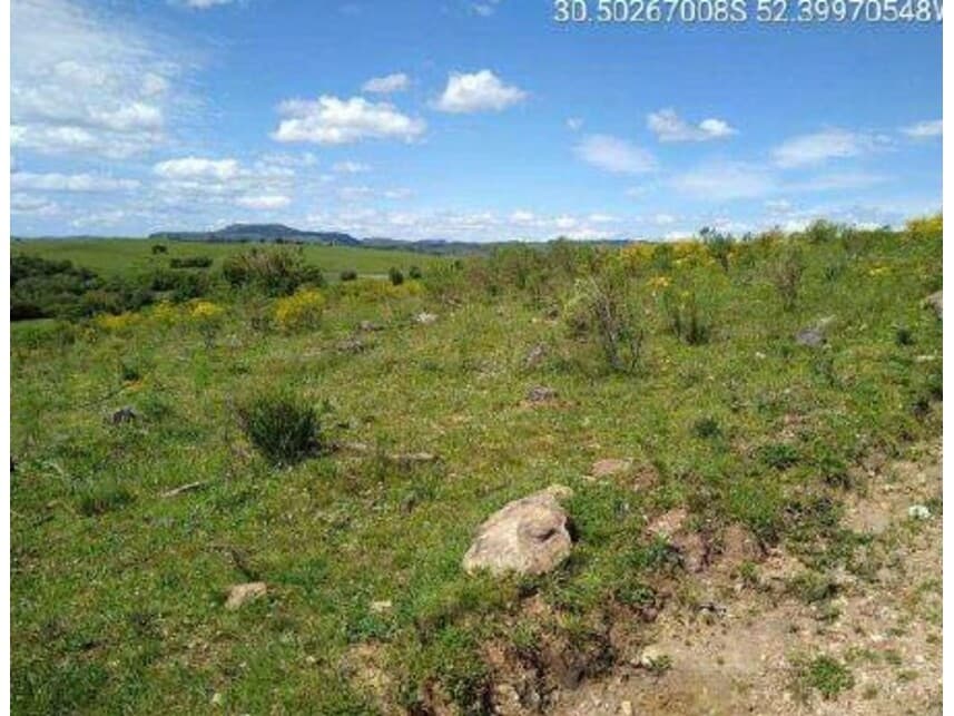 Foto 2 de 4: Area Rural em leilão em Encruzilhada Do Sul - RS — Área Rural à venda em leilão