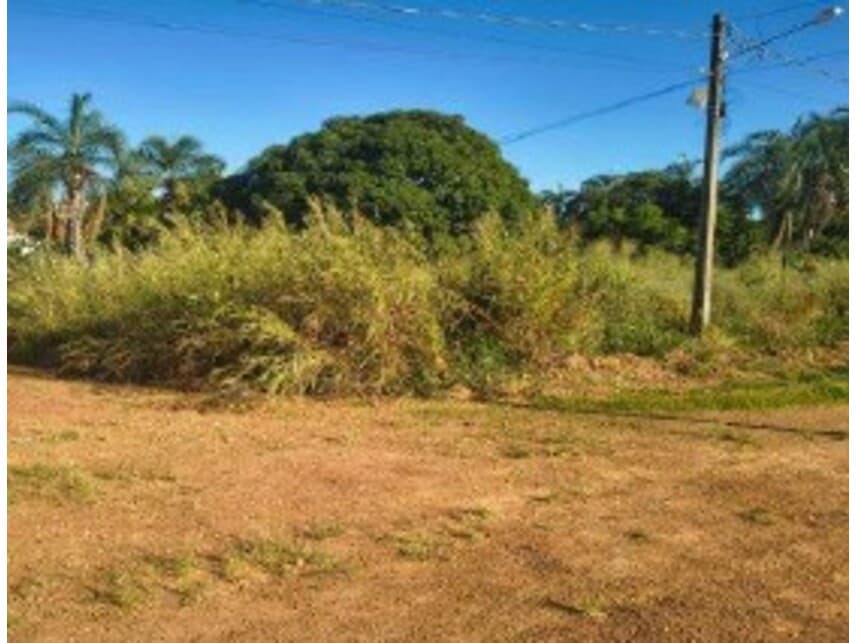 Foto 13 de 14: Terreno em leilão em Caldas Novas - GO — Terrenos à venda em leilão