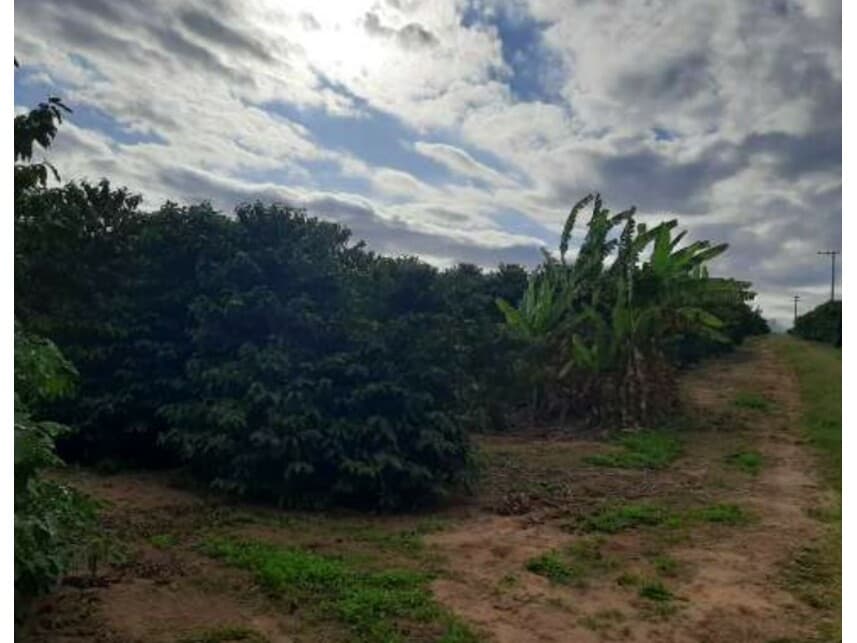 Foto 7 de 13: Area Rural em leilão em Vera Cruz - SP — Sítio à venda em leilão