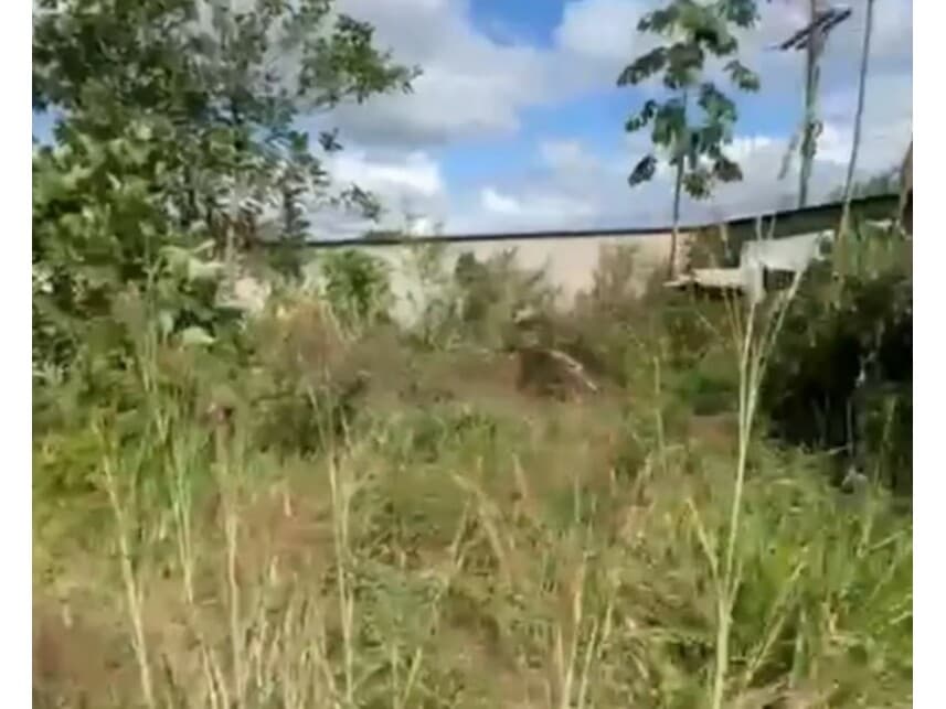 Foto 7 de 22: Comercial em leilão em Caratinga - MG — Galpão Industrial à venda em leilão