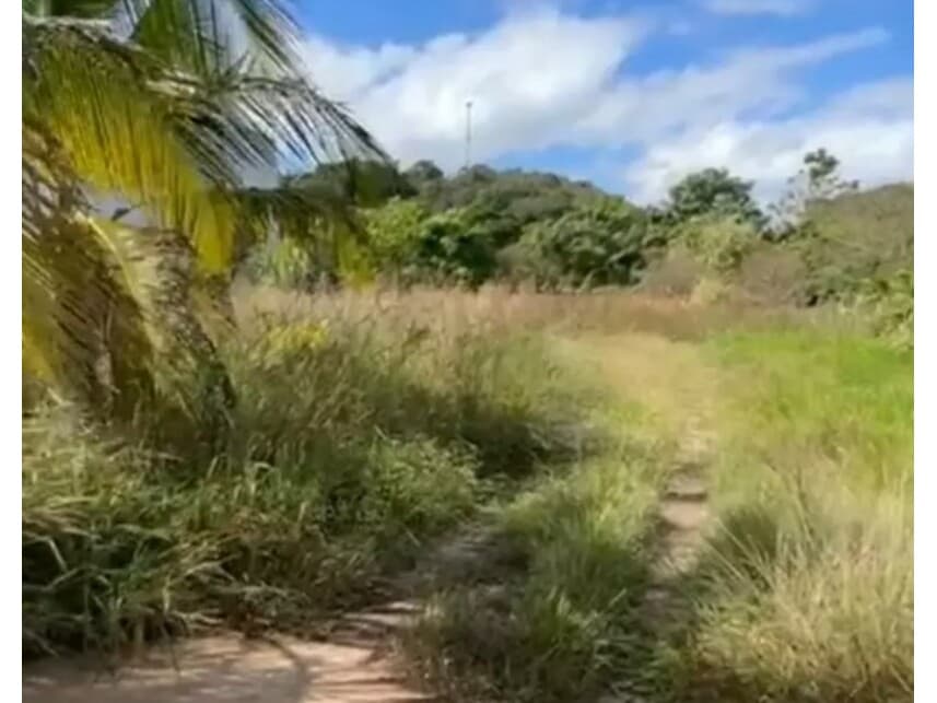 Foto 8 de 22: Comercial em leilão em Caratinga - MG — Galpão Industrial à venda em leilão