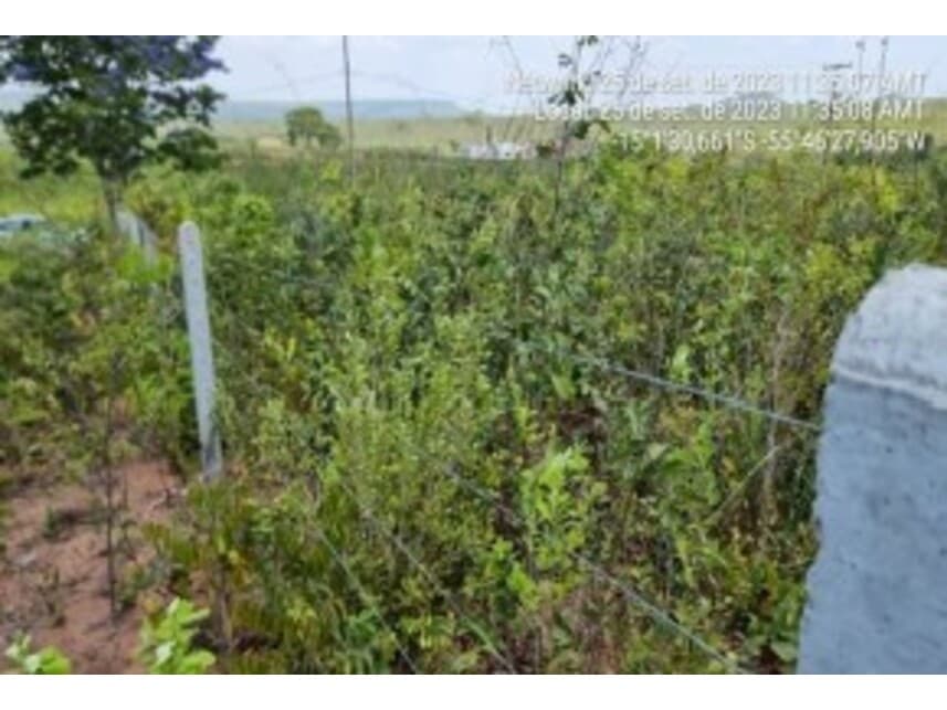 Foto 7 de 13: Terreno em leilão em Chapada Dos Guimarães - MT — Terreno à venda em leilão