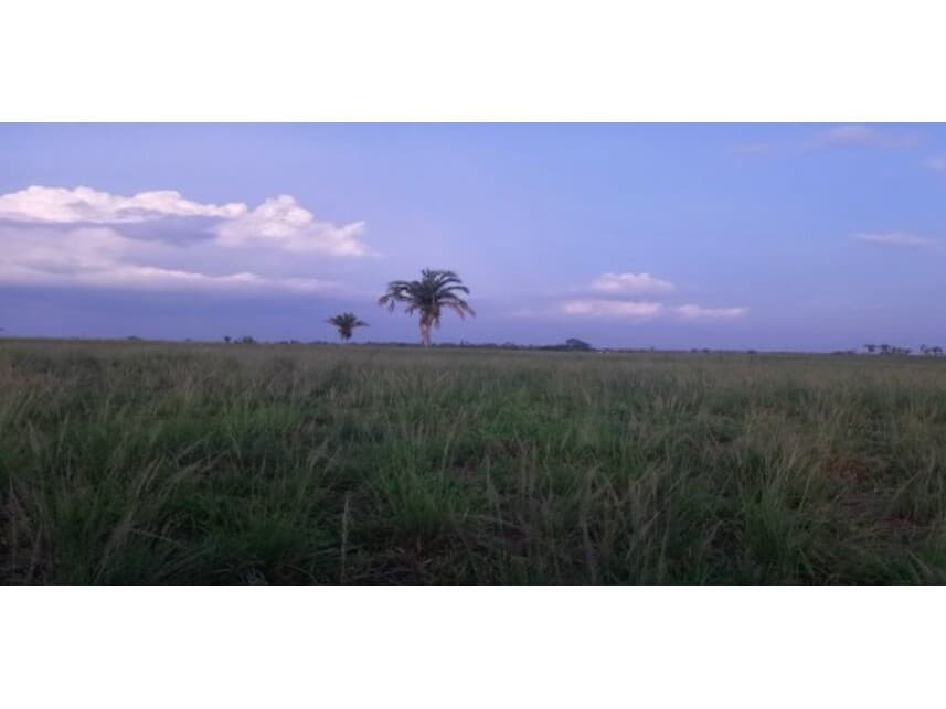 Foto 2 de 3: Terreno em leilão em Itupiranga - PA — Terreno à venda em leilão