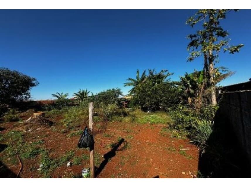 Foto 2 de 2: Terreno em leilão em Pontal - SP — Terreno à venda em leilão