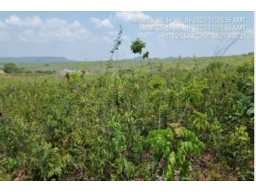 Foto 10 de 13: Terreno em leilão em Chapada Dos Guimarães - MT — Terreno à venda em leilão