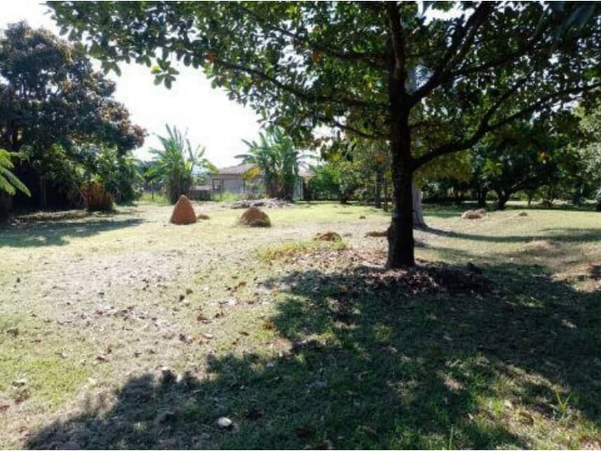Foto 3 de 18: Casa em leilão em Porto Feliz - SP — Casa à venda em leilão