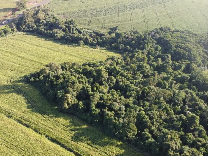 Foto 3 de 6: Area Rural em leilão em Campo Mourão - PR — Área Rural à venda em leilão