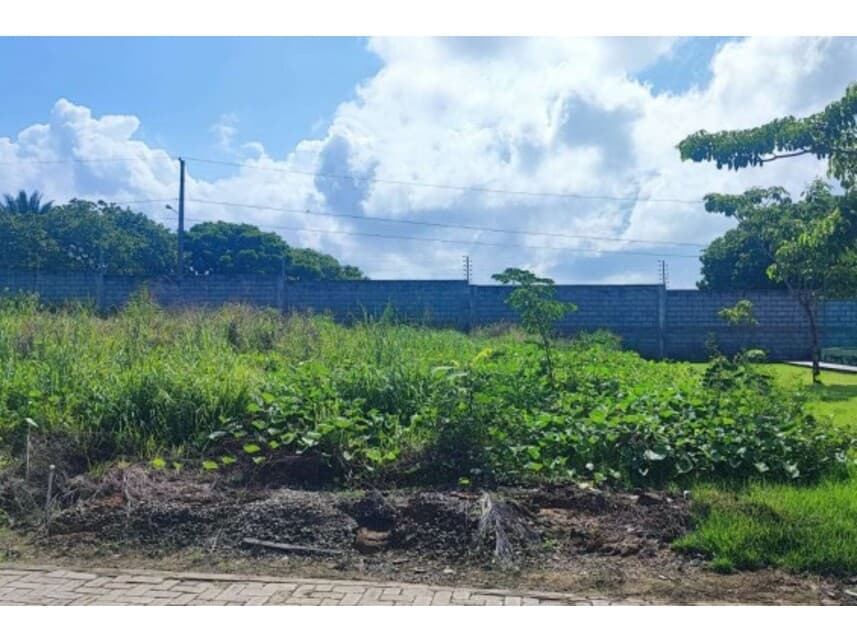 Foto 3 de 3: Terreno em leilão em Santa Inês - MA — Terreno à venda em leilão