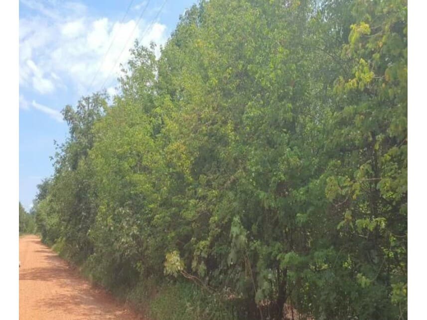 Foto 1 de 2: Terreno em leilão em Cuiabá - MT — Terreno à venda em leilão