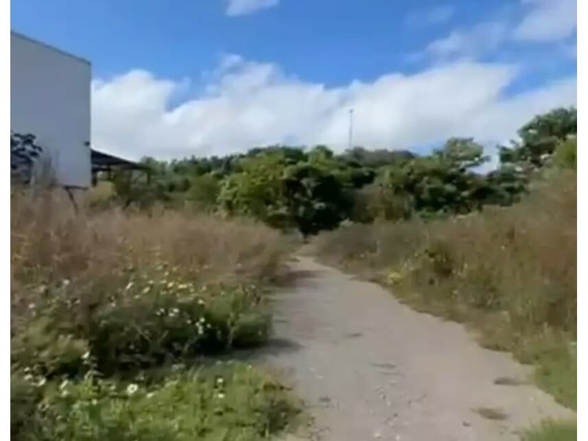 Foto 9 de 22: Comercial em leilão em Caratinga - MG — Galpão Industrial à venda em leilão