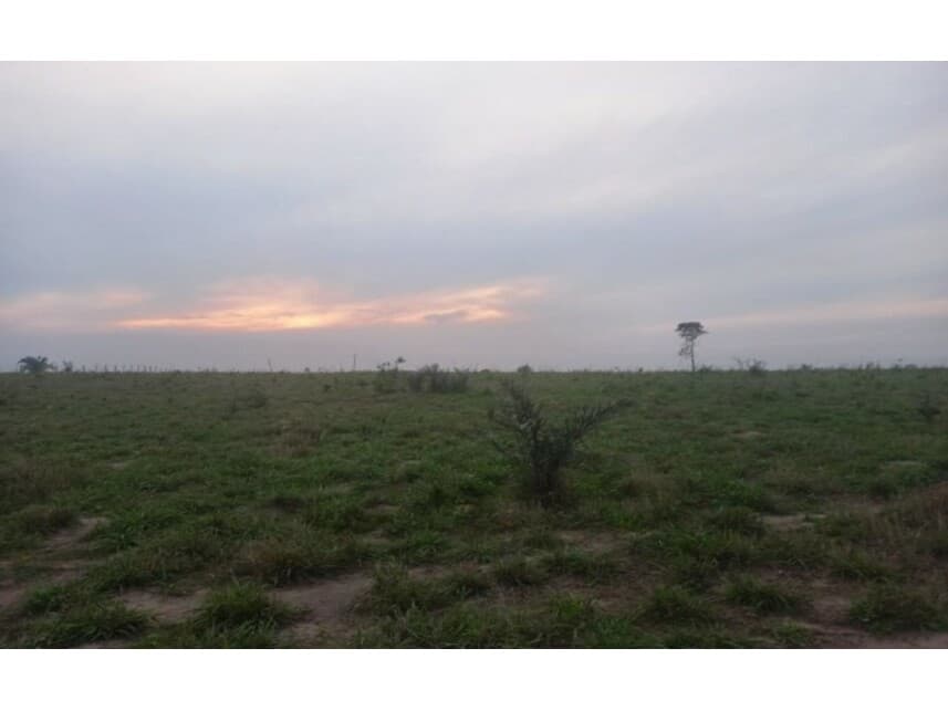 Foto 1 de 3: Terreno em leilão em Itupiranga - PA — Terreno à venda em leilão