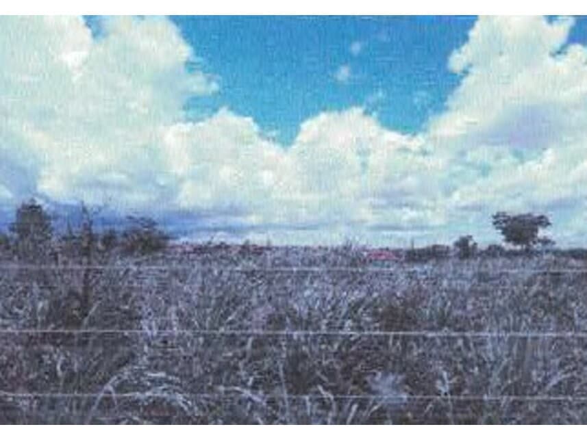 Terreno em leilão em Várzea Grande - MT — Terreno à venda em leilão